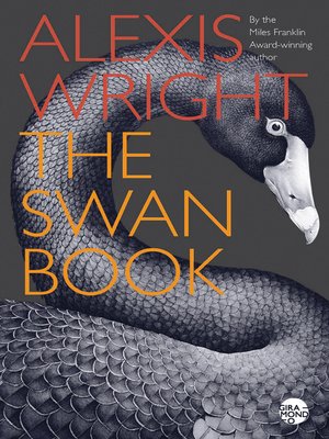 cover image of The Swan Book